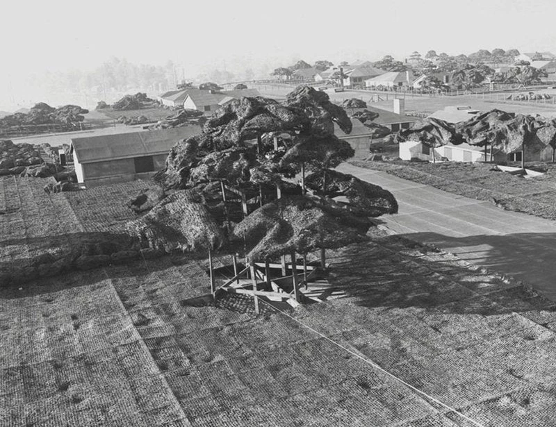 Κατά τη διάρκεια του Β’ Π.Π η Boeing είχε χτίσει ολόκληρη πόλη για να κρύψει το εργοστάσιο της!-Δείτε φωτογραφίες και βίντεο